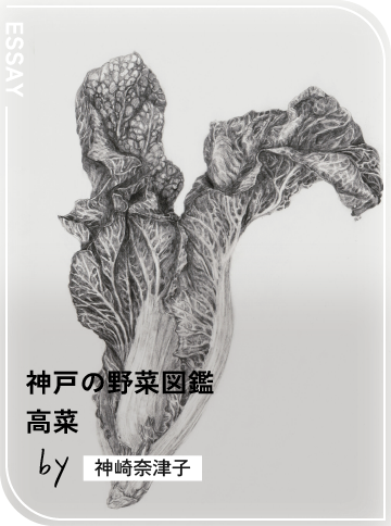 高菜