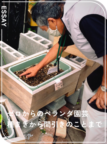 種まきから間引きのことまで