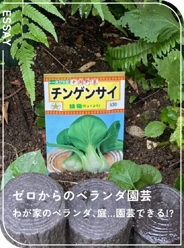 わが家のベランダ、庭…園芸できる!?