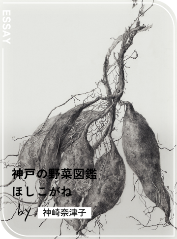 ほしこがね