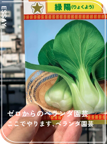 ここでやります、ベランダ園芸
