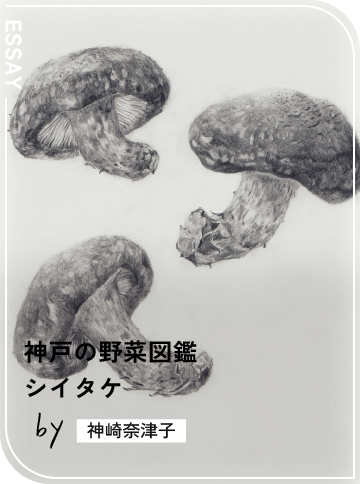 シイタケ