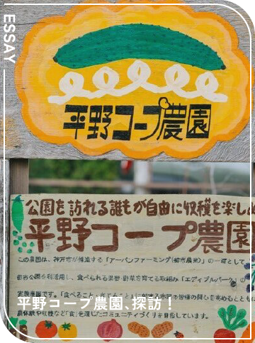 平野コープ農園、探訪！