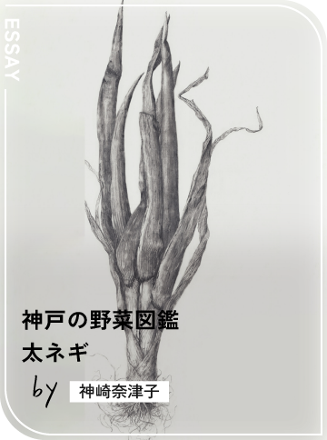 太ネギ