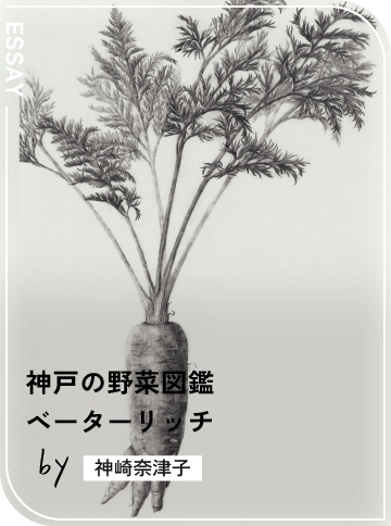 ベーターリッチ