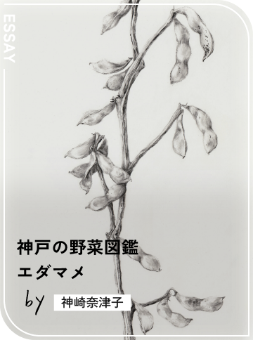 エダマメ
