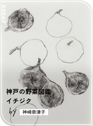 イチジク