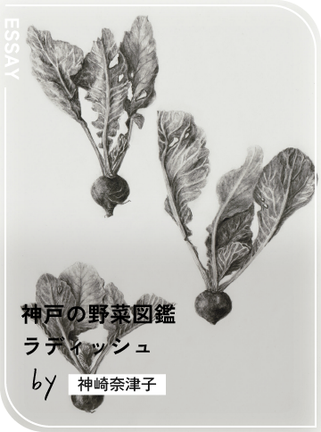 ラディッシュ