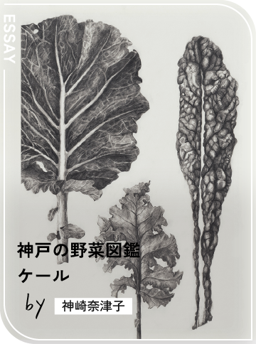 ケール