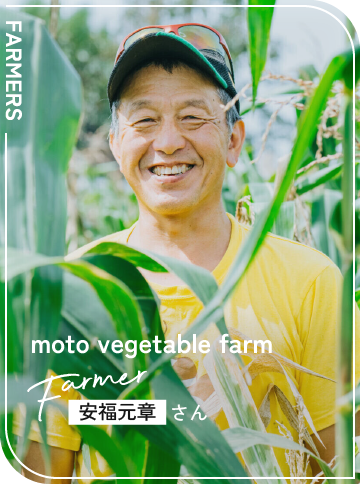 moto vegetable farm / 安福元章さん