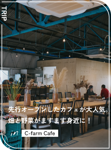 先行オープンしたカフェが大人気。 畑と野菜がますます身近に！