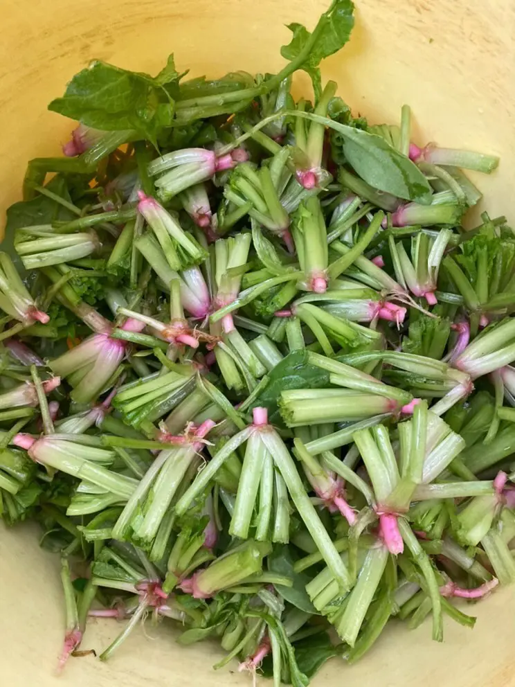 野菜の皮や根っこまで