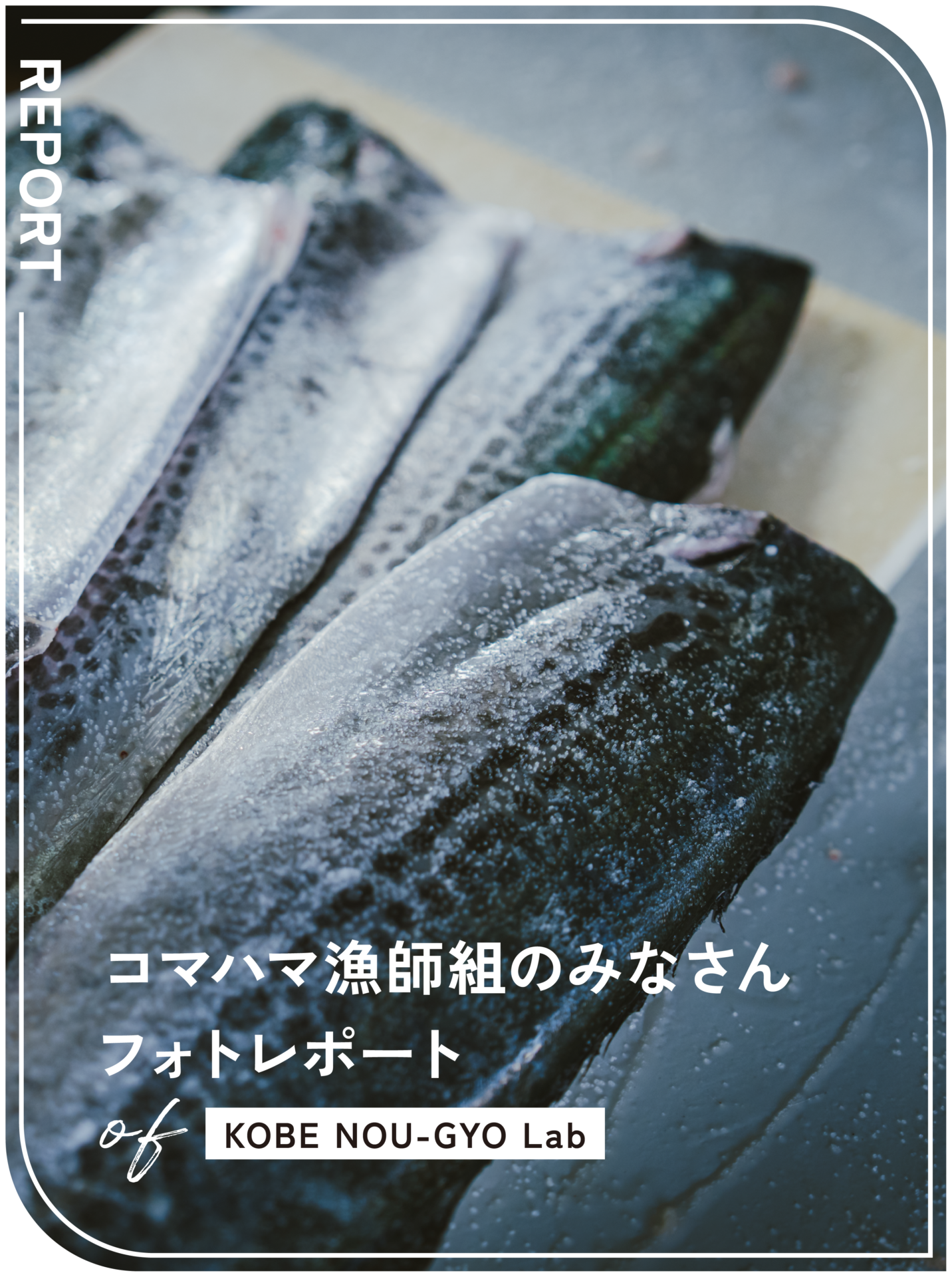 KOBE NOU-GYO Lab 2025：コマハマ漁師組のみなさんフォトレポート